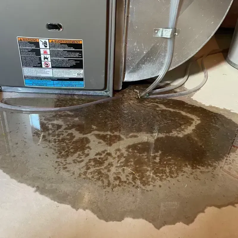 Appliance Leak Cleanup in Richwood, NJ